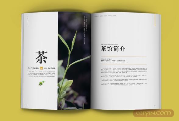 公司畫冊設計需要注意些什么？  第2張